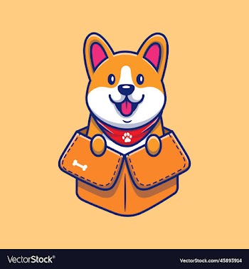 cute corgi plalying in box cartoon