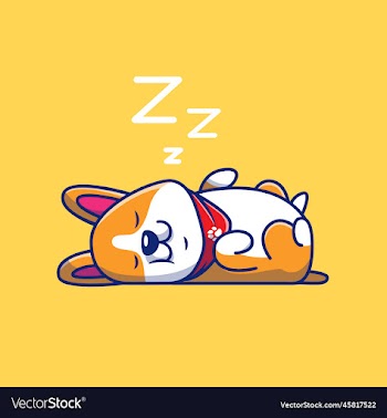 cute corgi sleeping cartoon