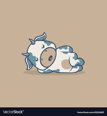 cute cow