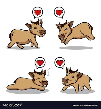 cute cow activity