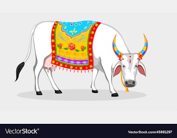 cute cow isolated on white background