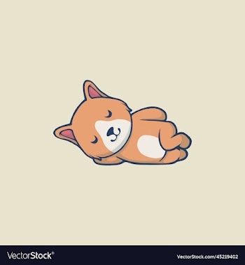 cute dog