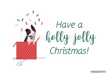 Cute dog, border collie in red giftbox flat illustration