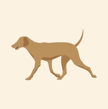 Cute dog collage element, Labrador | Free PSD Illustration - rawpixel