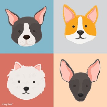 Cute dog collection | Free stock vector - 60716