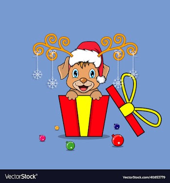 cute dog on gift with santa claus hat