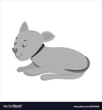 cute dog pet doodle hand drawn cartoon style