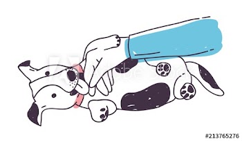 Cute dog playing with owner's hand and licking it
