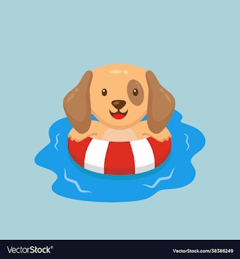 cute dog swimming summer cartoon