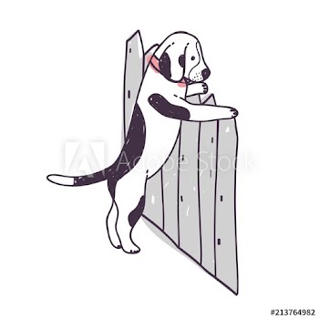 Cute dog trying to climb over fence and escape