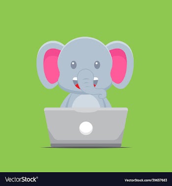 cute elephant working with laptop