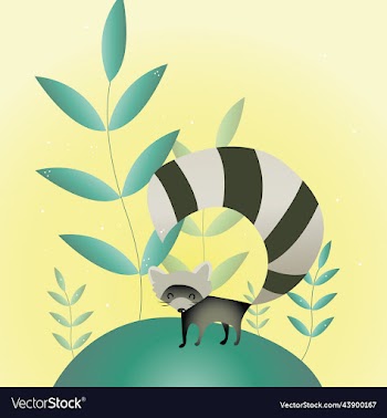 cute fat cartoon gray raccoon sits and looks