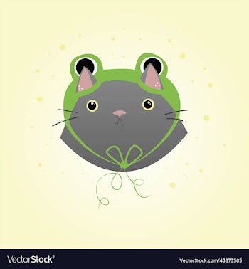 cute fat gray cat in a green hat in the form
