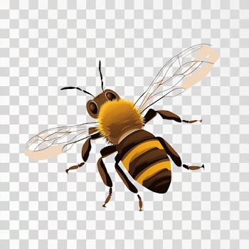 Cute Friendly Bee Cartoon Happy PNG picture