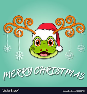 cute frog head cartoon christmas card wearing