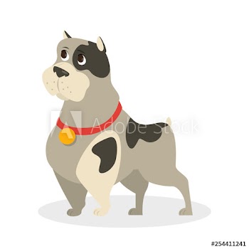 Cute funny dog standing