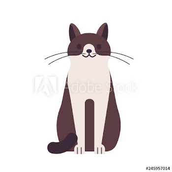 Cute funny happy cat isolated on white background