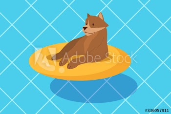 Cute funny purebred dog in the pool