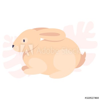 Cute funny rabbit