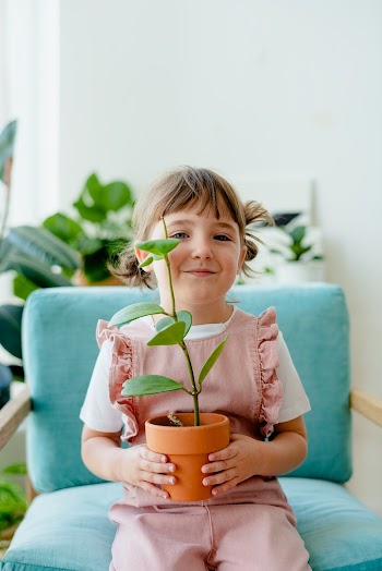 Cute girl kid holding potted plants at home | Free stock photo | High Resolution image