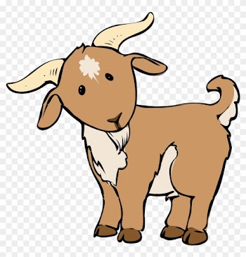 Cute Goat Pictures Lyrics - Goat Cartoon