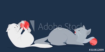 Cute grey and white cats in different position