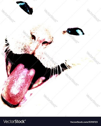 Cute Grunge Cat vector image