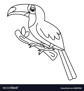 cute hornbill cartoon coloring page for