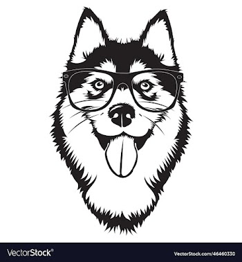 cute husky with glasses