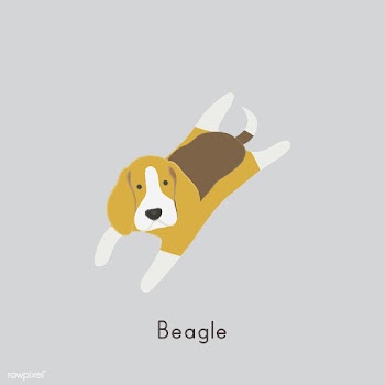 Cute illustration of a beagle dog | Free stock vector - 60446