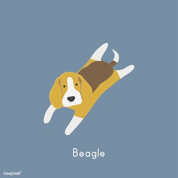 Cute illustration of a beagle dog | Free stock vector - 60453