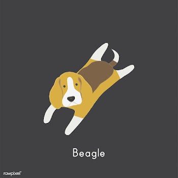 Cute illustration of a beagle dog | Free stock vector - 60463