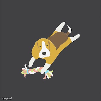 Cute illustration of a beagle dog | Free stock vector - 60648