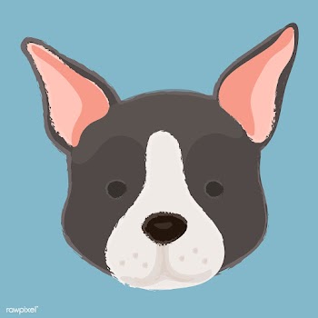 Cute illustration of a boston terrier dog | Free stock vector - 60680