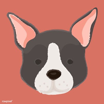 Cute illustration of a boston terrier dog | Free stock vector - 60681
