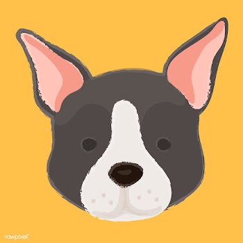 Cute illustration of a boston terrier dog | Free stock vector - 60682