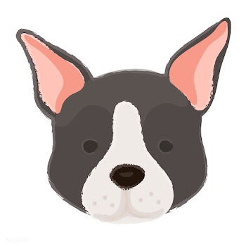 Cute illustration of a boston terrier dog | Free stock vector - 60715