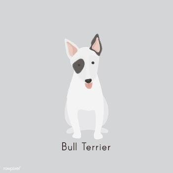 Cute illustration of a bull terrier dog | Free stock vector - 60459