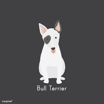 Cute illustration of a bull terrier dog | Free stock vector - 60465