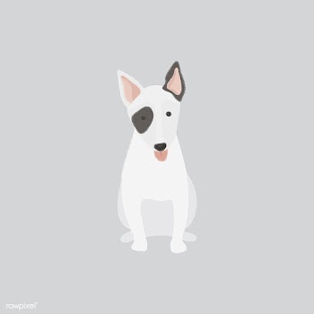 Cute illustration of a bull terrier dog | Free stock vector - 60627
