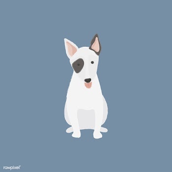 Cute illustration of a bull terrier dog | Free stock vector - 60642