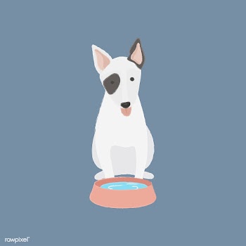 Cute illustration of a bull terrier dog | Free stock vector - 60654
