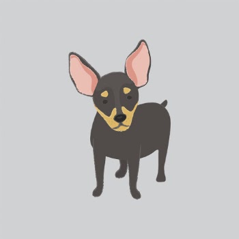 Cute illustration of a chihuahua dog