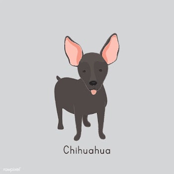 Cute illustration of a chihuahua dog | Free stock vector - 60403