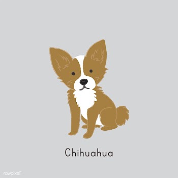 Cute illustration of a chihuahua dog | Free stock vector - 60405