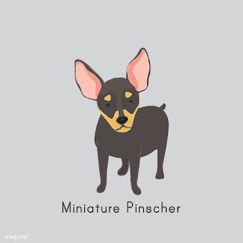 Cute illustration of a chihuahua dog | Free stock vector - 60411