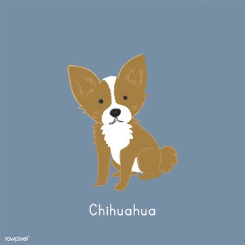 Cute illustration of a chihuahua dog | Free stock vector - 60436