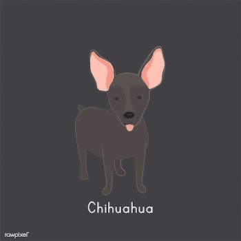 Cute illustration of a chihuahua dog | Free stock vector - 60449