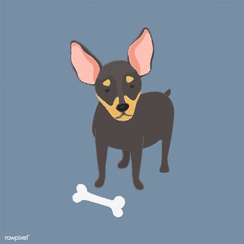 Cute illustration of a chihuahua dog | Free stock vector - 60563