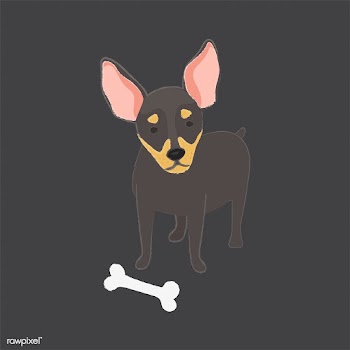Cute illustration of a chihuahua dog | Free stock vector - 60569